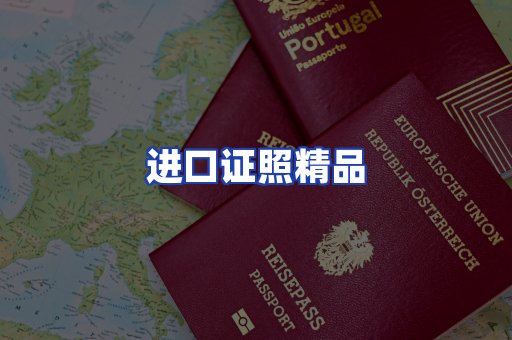 进口证件页面制证